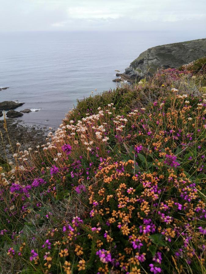 Captivating Isolde Cottage With Pool Near St Ives Camborne Bagian luar foto